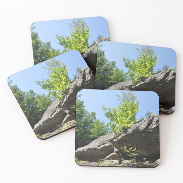 Item preview, Sapling Conquering a Rock designed and sold by Theophanes Avery.