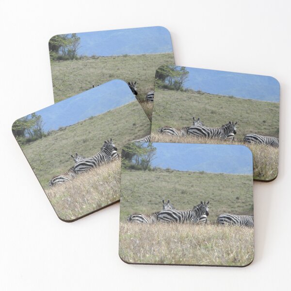 Item preview, Wild Zebras Grazing, Omo river valley, Ethiopia, Africa designed and sold by worldways.