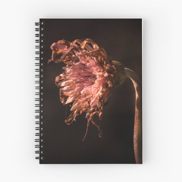 Item preview, A dying Gerbera is still Beautiful designed and sold by Clare Colins.