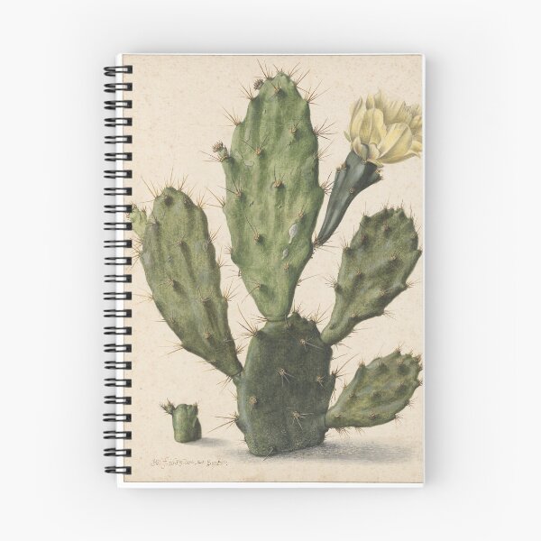 Item preview, Vintage Cactus designed and sold by Elena Ray.