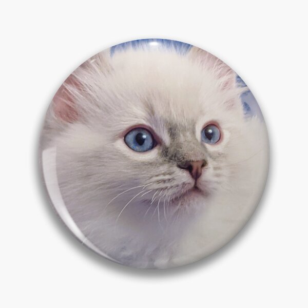 Item preview, Lynx ragdoll kitten designed and sold by Fluffycat2020.