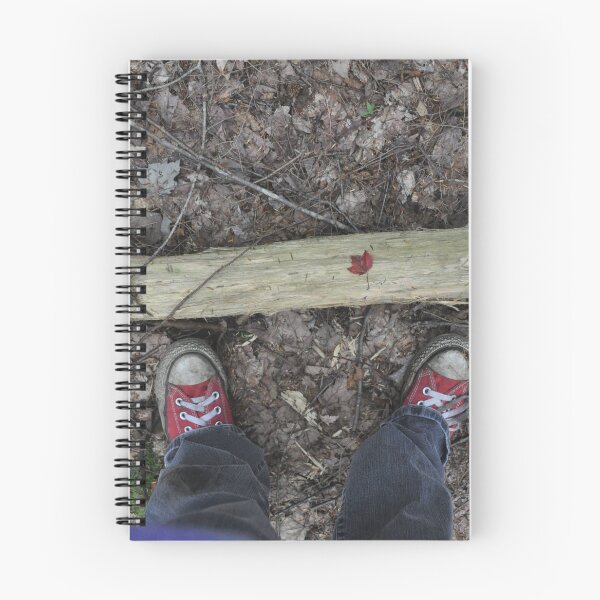 Item preview, Converses Traversing a New England Forest designed and sold by Theophanes Avery.