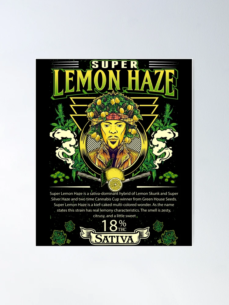 絵画 HAZE ORIGINAL LOGO POSTER 絵画 HAZE ORIGINAL LOGO POSTER 絵画 HAZE ORIGINAL LOGO