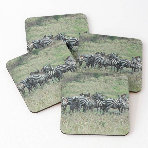 Item preview, Wild Zebras Family, Omo river valley, Ethiopia, Africa designed and sold by worldways.
