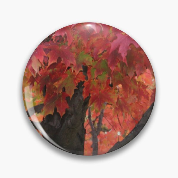 Item preview, Red Leaved Autumn Tree in Lafayette Indiana designed and sold by Mothe3rd.