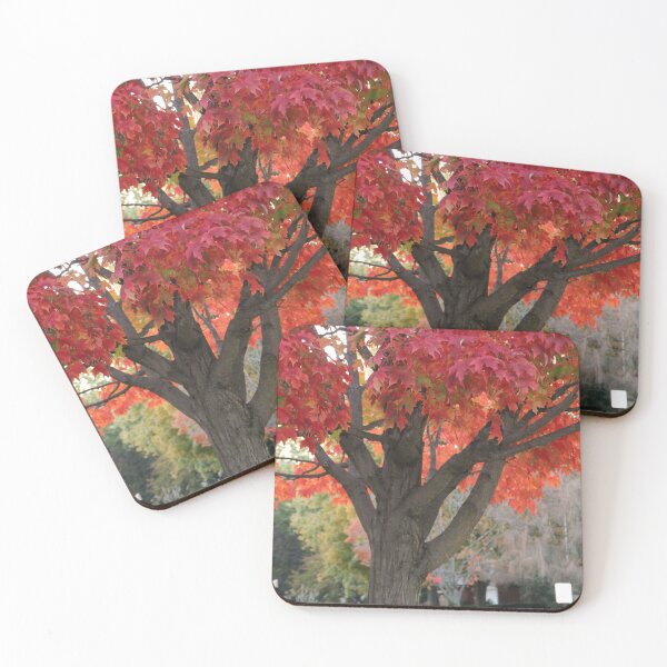 Item preview, Red Leaved Autumn Tree in Lafayette Indiana designed and sold by Mothe3rd.