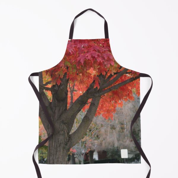 Artikelvorschau, Rotblättriger Herbstbaum in Lafayette Indiana entworfen und verkauft von Mothe3rd.