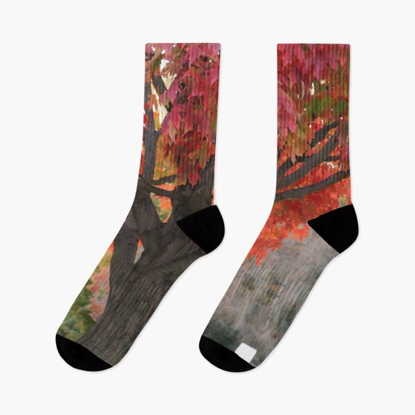 Item preview, Red Leaved Autumn Tree in Lafayette Indiana designed and sold by Mothe3rd.