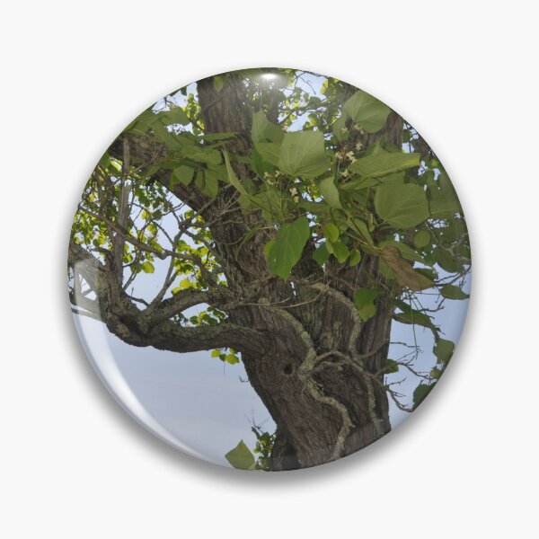Item preview, A Gnarly Vine-Riddled Tree designed and sold by Theophanes Avery.