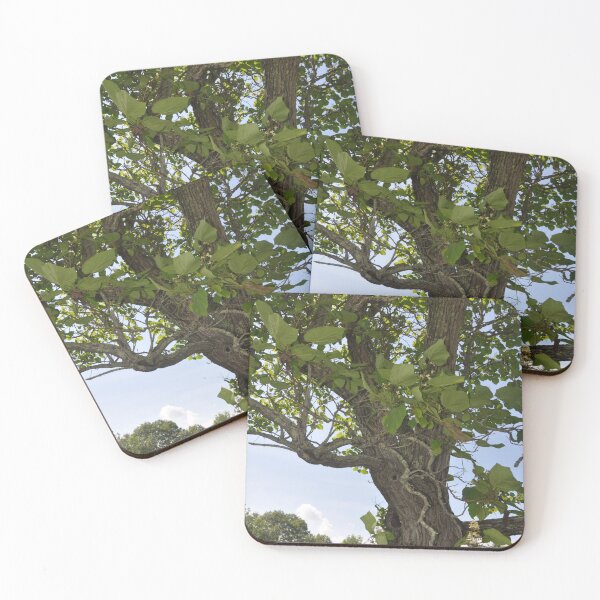 Item preview, A Gnarly Vine-Riddled Tree designed and sold by Theophanes Avery.