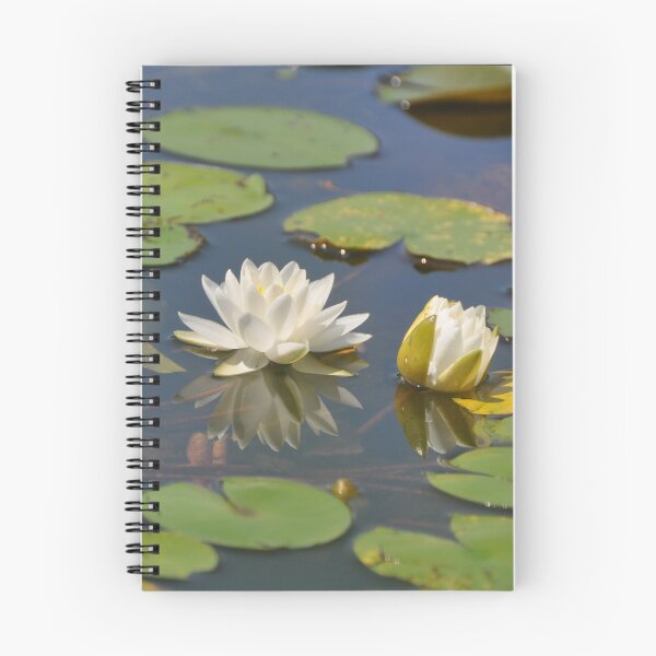 Item preview, Reflections of a Pond Lily designed and sold by Theophanes Avery.