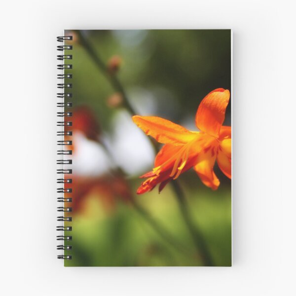 Artikelvorschau, Orangenblüten entworfen und verkauft von Lee's Place.