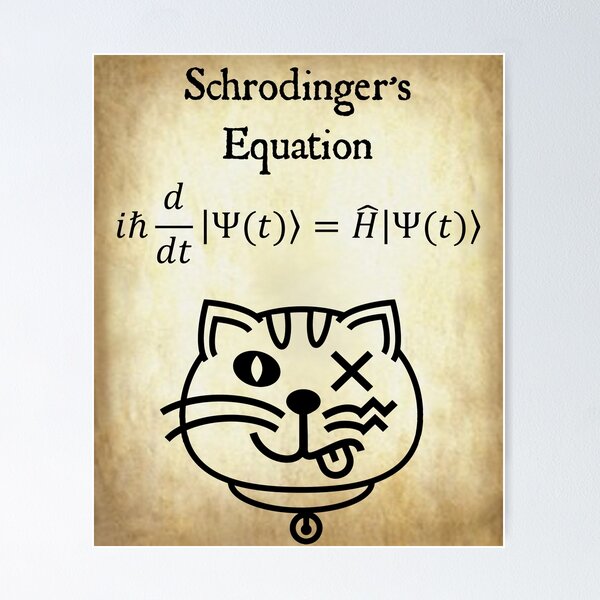 Math not mathing for cat Poster for Sale by Adel-ide