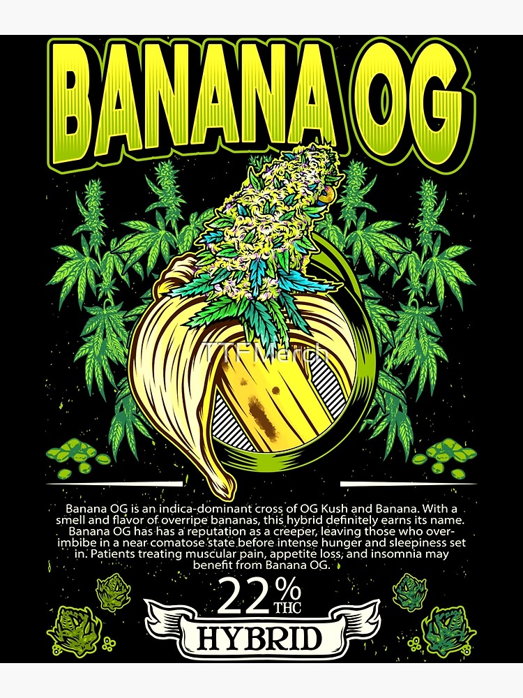 "Banana OG Hybrid Cross Banana OG Kush Cannabis Leaf Gift" Art Print