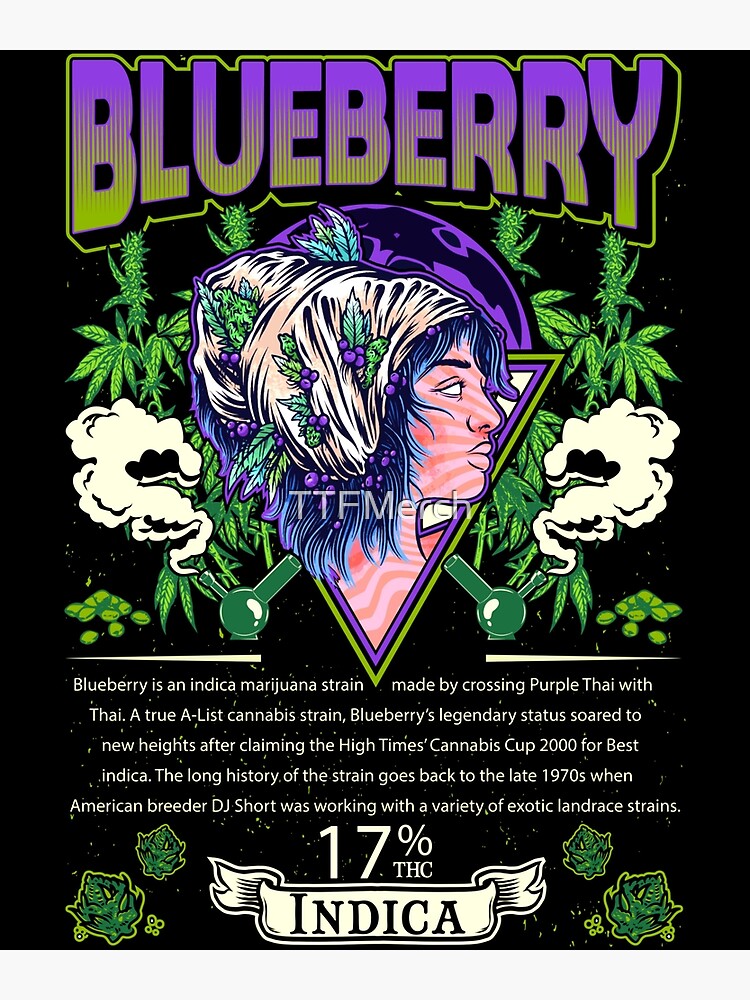 Blue Berry buy Kush Canvas