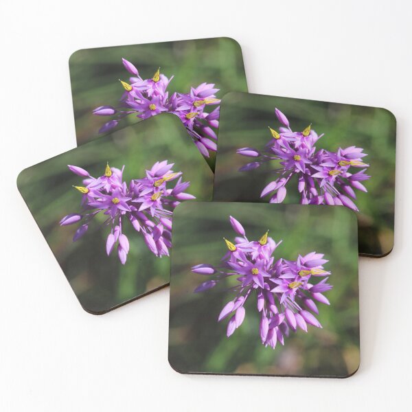 Item preview, Sowerbaea Head designed and sold by Michaela Perryman.