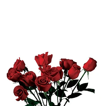 Artwork thumbnail, Red Roses by hearted