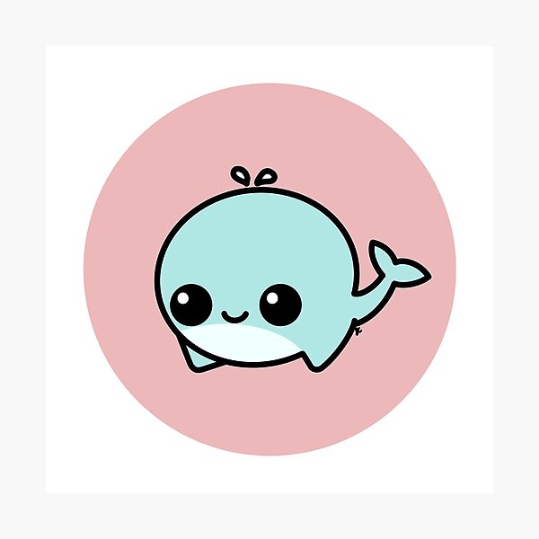 Whale Photographic Print