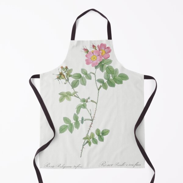 Item preview, Les Roses by Pierre-Joseph Redouté designed and sold by EsotericBotanic.