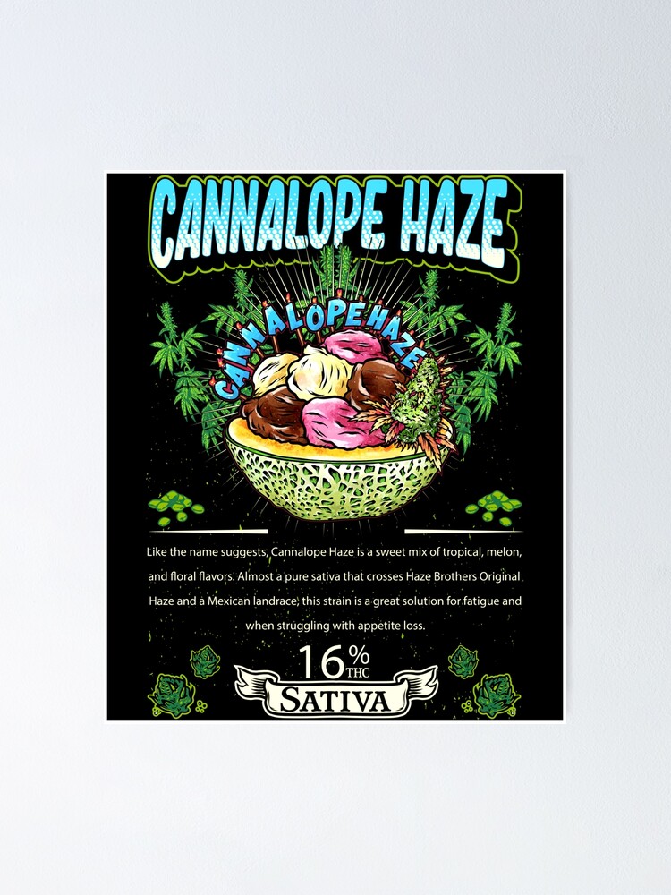 "Cannalope Haze Sativa Cross Haze Mexican Landrace Cannabis Leaf Gift
