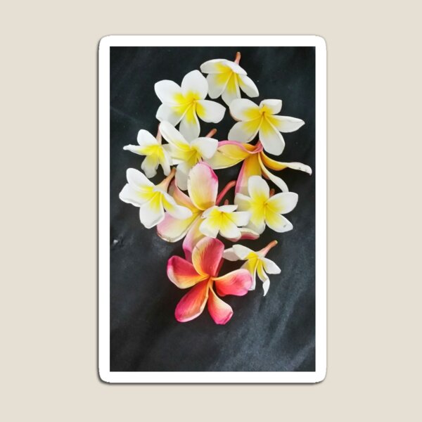 Item preview, Fragrant Frangipani  designed and sold by waslostnowfound.