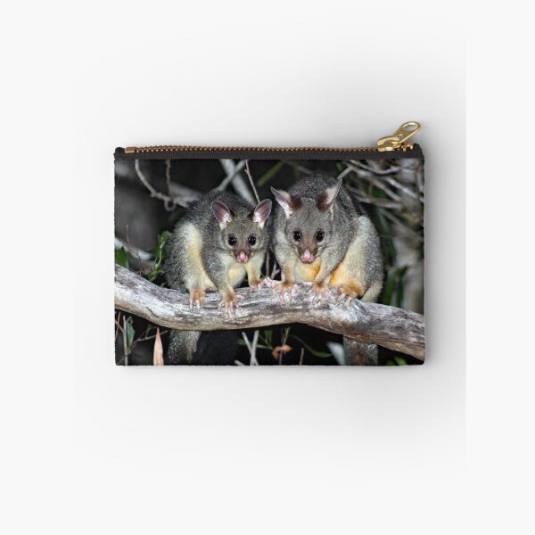 Item preview, © Australian brushtail possums designed and sold by GeoPipics.
