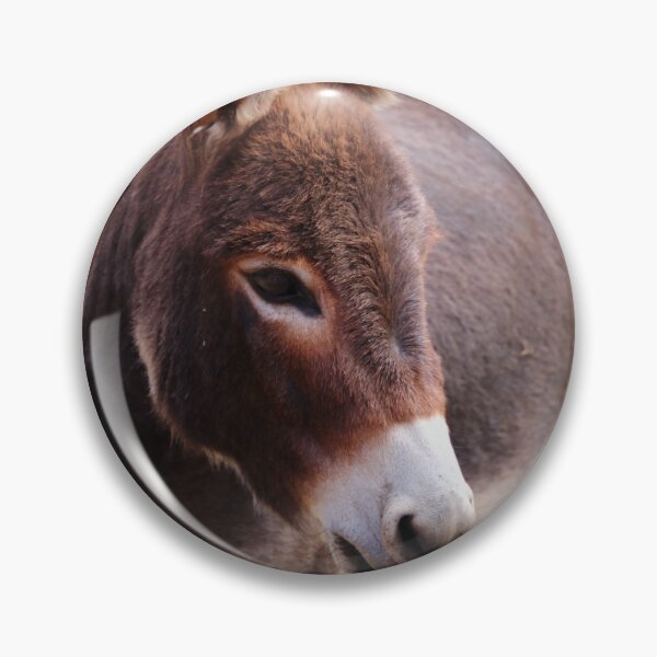 Item preview, donkey cuteness designed and sold by Gaylene Norton.