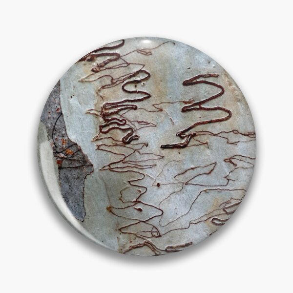 Item preview, © Scribbly bark designed and sold by GeoPipics.