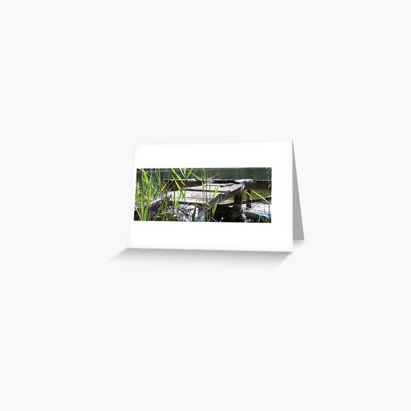 The Lost Jetty Greeting Card