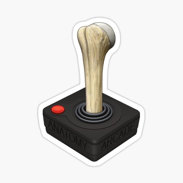Anatomy Arcade Joystick Sticker