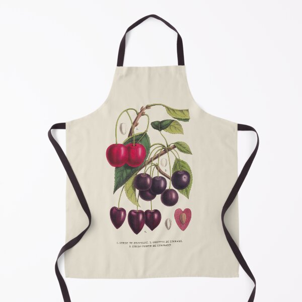 Item preview, Cherry Antique Botanical Illustration designed and sold by Antiquated Art.