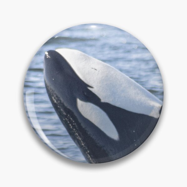 Item preview, Juvenile killer whale breach designed and sold by Selena Rivera.