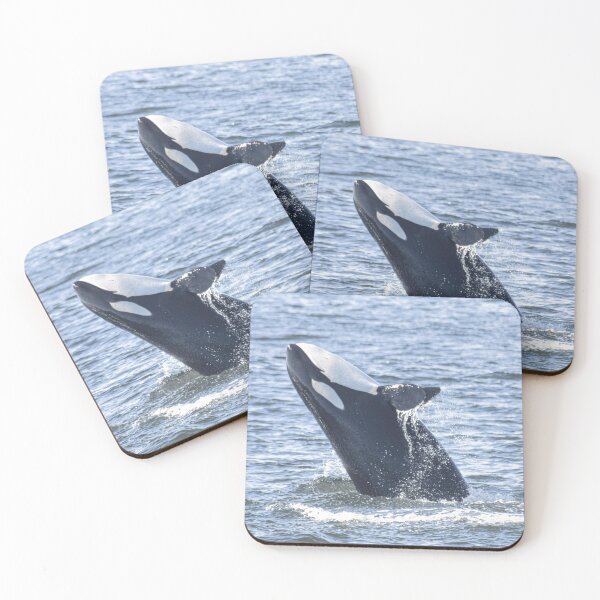 Item preview, Juvenile killer whale breach designed and sold by Selena Rivera.