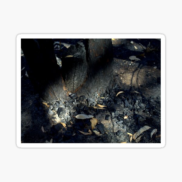 Item preview, Coal Is Good For You designed and sold by Ben Loveday.
