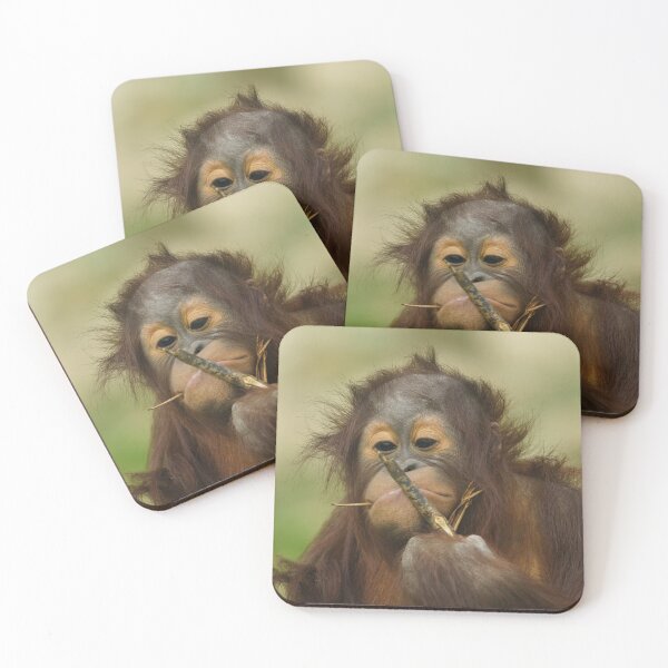 Item preview, Funny Orangutan Baby Girl designed and sold by rawshutterbug.