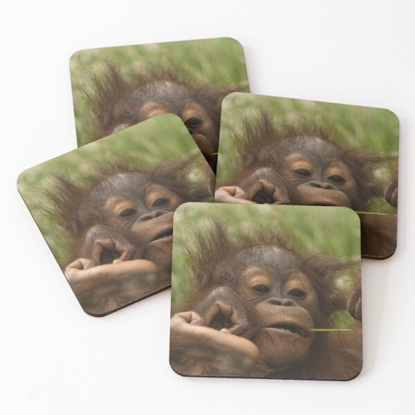 Item preview, Orangutan Baby designed and sold by rawshutterbug.