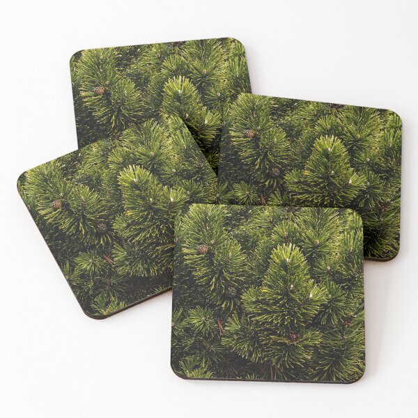 Item preview, Close up of Green pine tree, bush, fir tree - background texture designed and sold by Michaelerch.