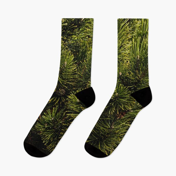 Item preview, Close up of Green pine tree, bush, fir tree - background texture designed and sold by Michaelerch.