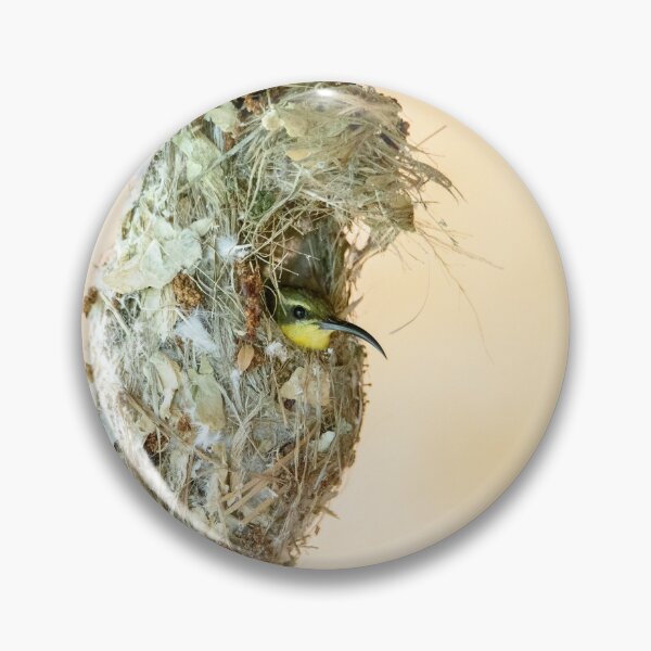 Item preview, Nesting Sunbird designed and sold by Shae Nechwatal.