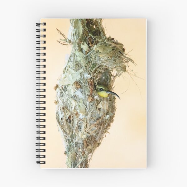 Item preview, Anidación Sunbird designed and sold by Shae Nechwatal.