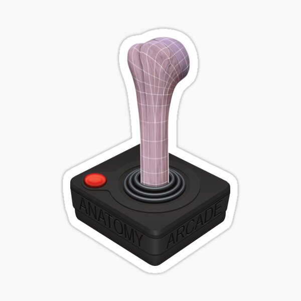 Anatomy Arcade Joystick Digital Sticker