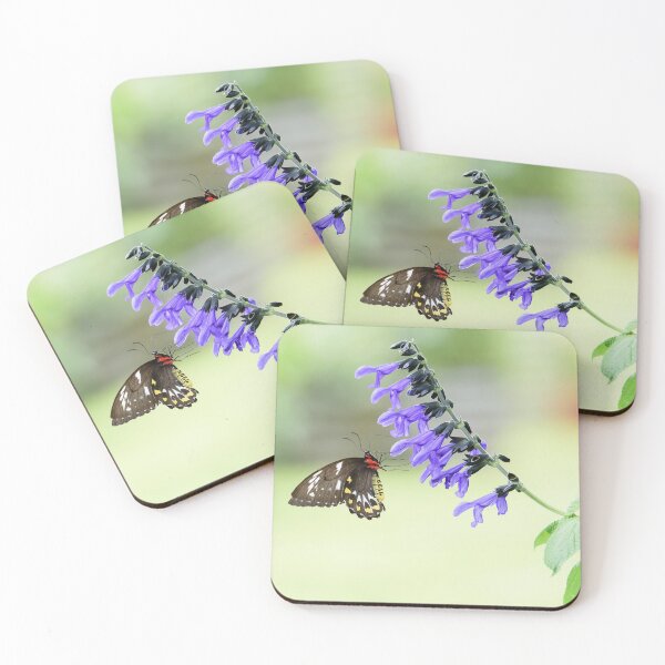 Item preview, Cairns Birdwing designed and sold by Shae Nechwatal.