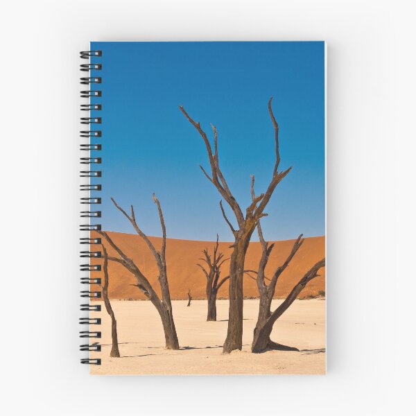 Item preview, Deadvlei designed and sold by Out there! Photography.