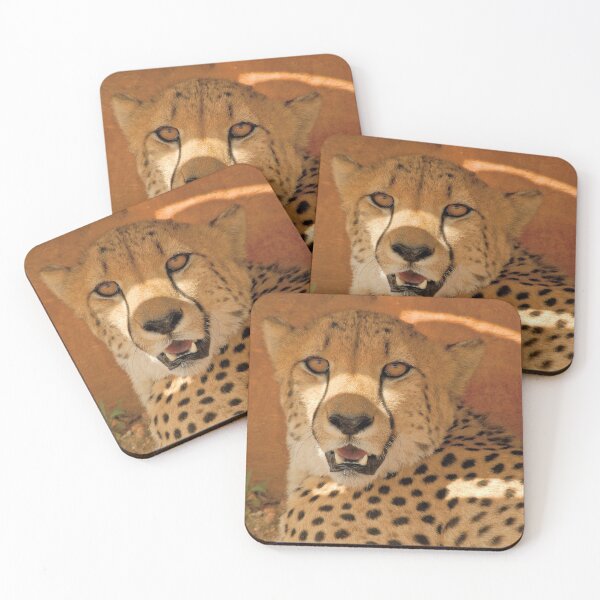 Item preview, Cheetah (Acinonyx jubatus) designed and sold by Out there! Photography.