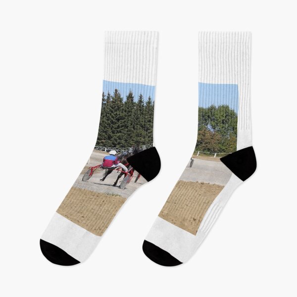Item preview, waiting for start harness racing horse trotter breed hippodrome designed and sold by goceris.