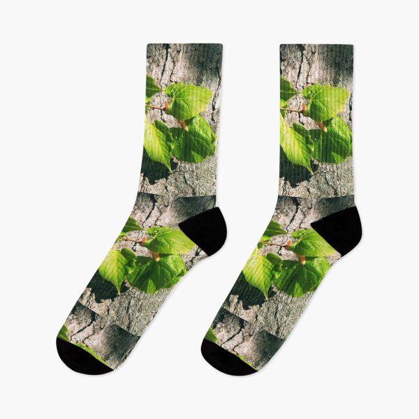 Item preview, A branch of new life on a bright spring day, natural background  designed and sold by helenkaiy.
