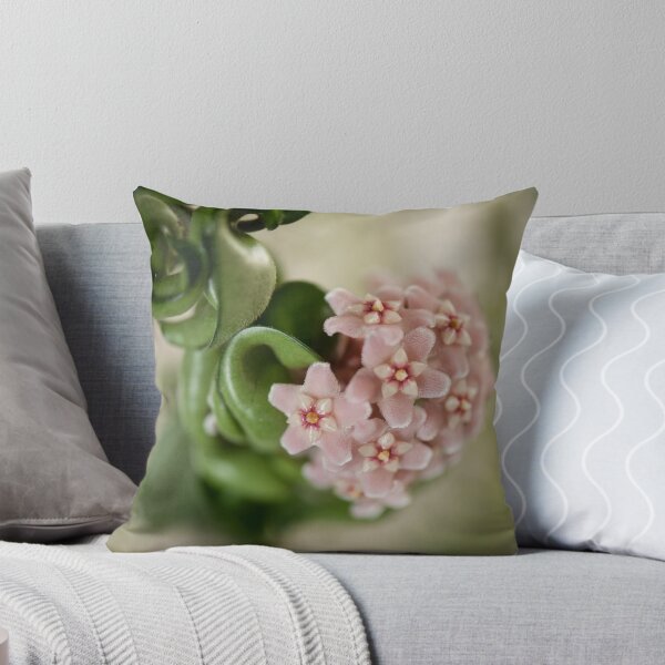 Item preview, Hoya Carnosa Compacta blossoms designed and sold by Arletta Cwalina.