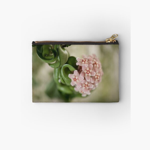Item preview, Hoya Carnosa Compacta blossoms designed and sold by Arletta Cwalina.