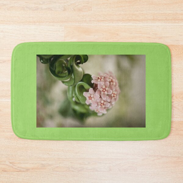 Item preview, Hoya Carnosa Compacta blossoms designed and sold by Arletta Cwalina.