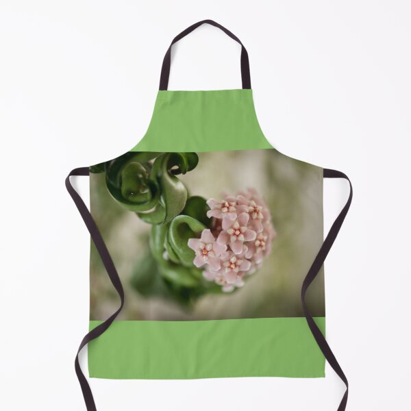 Item preview, Hoya Carnosa Compacta blossoms designed and sold by Arletta Cwalina.